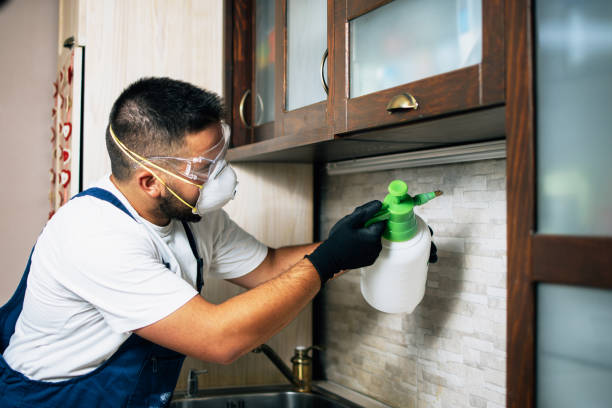 Best Ant Control Services  in Forestdale, MA