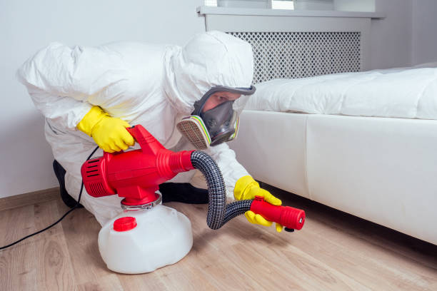 Best Affordable Pest Control Services  in Forestdale, MA