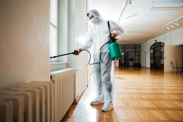 Best Wasp Removal Services  in Forestdale, MA