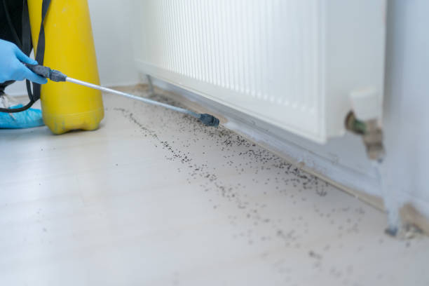 Best Residential Pest Control  in Forestdale, MA